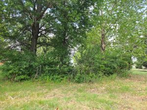 Bartlesville Landing Clearing | building a home