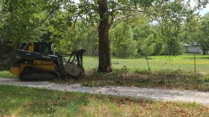 Coweta Land Clearing | Adding Mulch To Nourish Your Soil