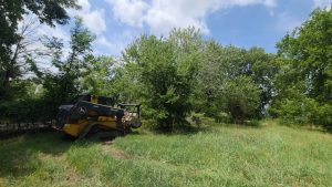 Coweta Landing Clearing | Help With a New Driveway
