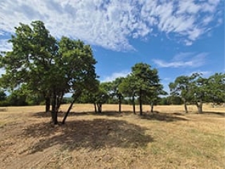 Land Clearing Skiatook Our Work 1