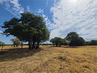 Land Clearing Skiatook Our Work 4