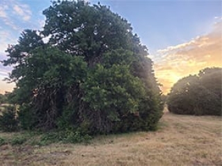 Land Clearing Skiatook Our Work 6