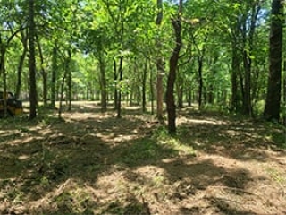 Land Clearing Skiatook Our Work 7