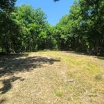 Sand Springs Land Clearing | No Brush Piles Left Behind
