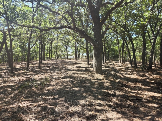 Skiatook Land Clearing 9 29 26 1