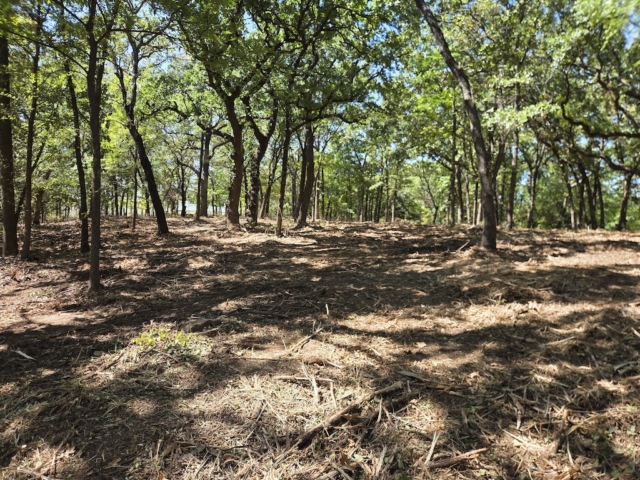 Skiatook Land Clearing 9 29 26 3