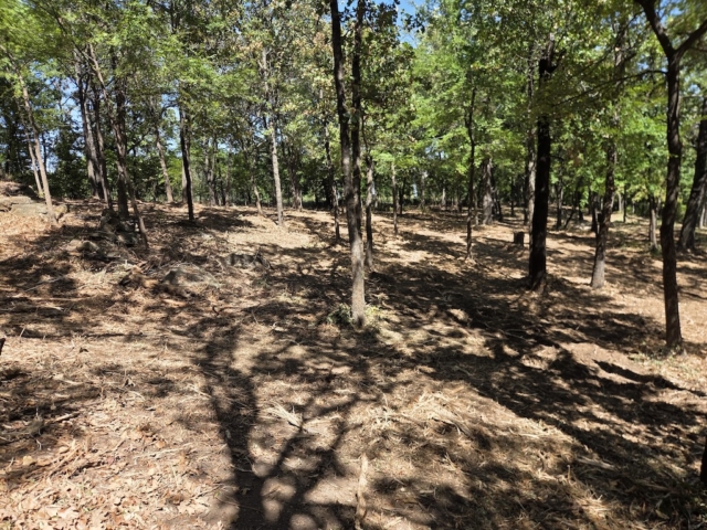 Skiatook Land Clearing 9 29 26 4