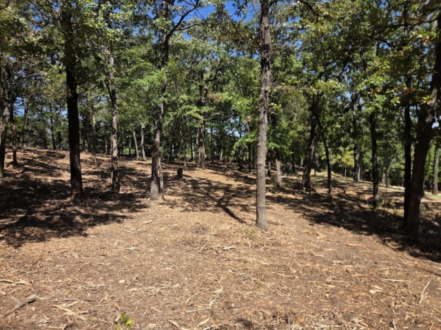 Skiatook Land Clearing 9 29 26 5